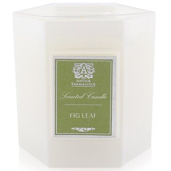 Antica Farmacista Candle - Fig Leaf