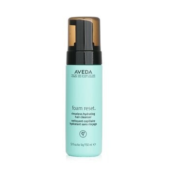 Foam Reset Rinseless Hydrating Hair Cleanser