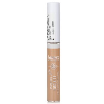 Radiant Skin Concealer - # 04 Tanned